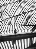 Stripes and lines