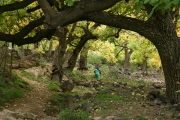 Atlas Mountains