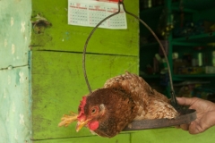 Oria chicken