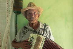 The accordion player